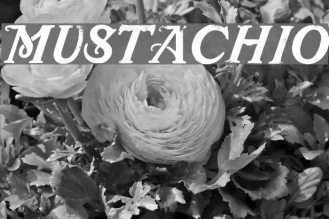 Mustachio Шрифта examples