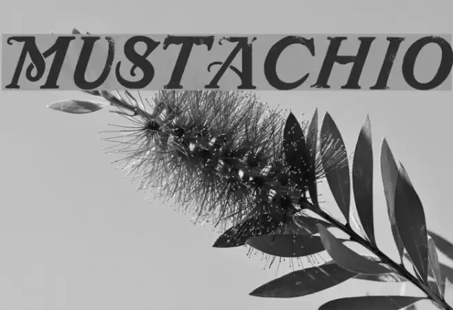 Mustachio Шрифта examples