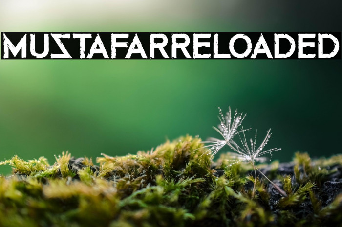 MustafarReloaded Example 1