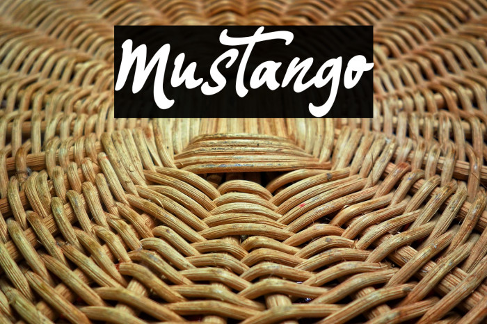 Mustango Example 2
