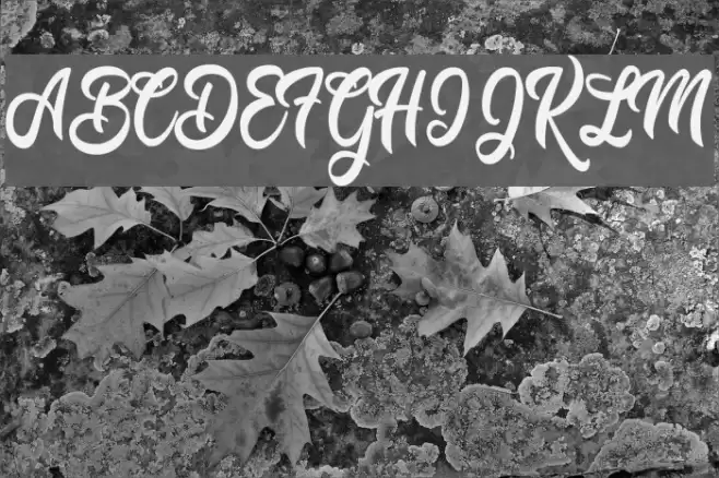 Mustard Personal Use  Font examples