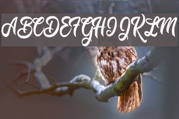 Mustard Personal Use  Example 2