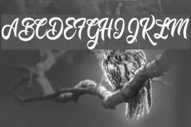 Mustard Personal Use  Font examples