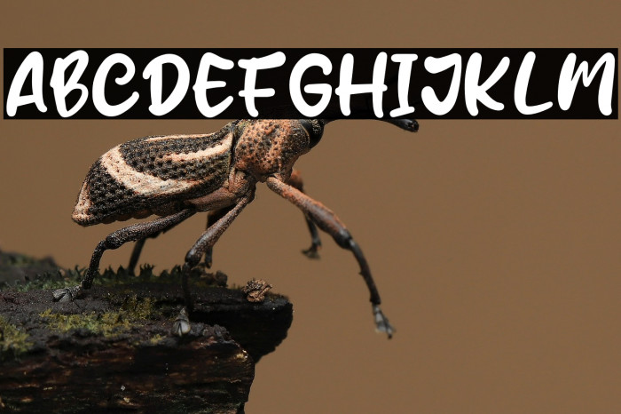 Mustard Smile Example 3