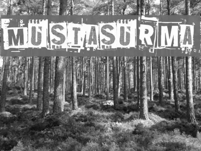 Mustasurma Font examples