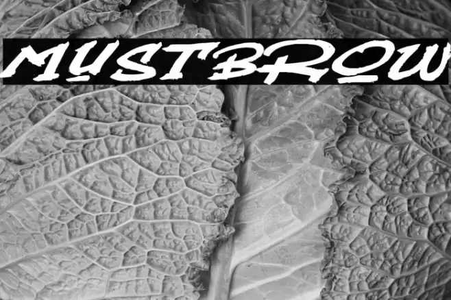 Mustbrow Font examples