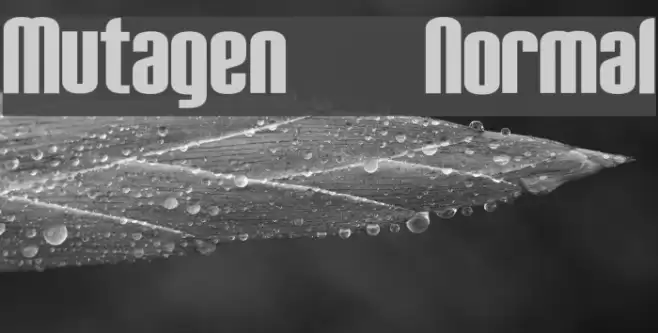 Mutagen Normal Font examples