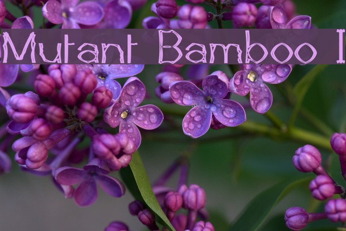 Mutant Bamboo I Font examples