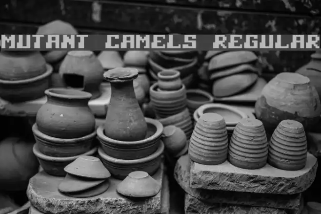 Mutant Camels Regular Example 3