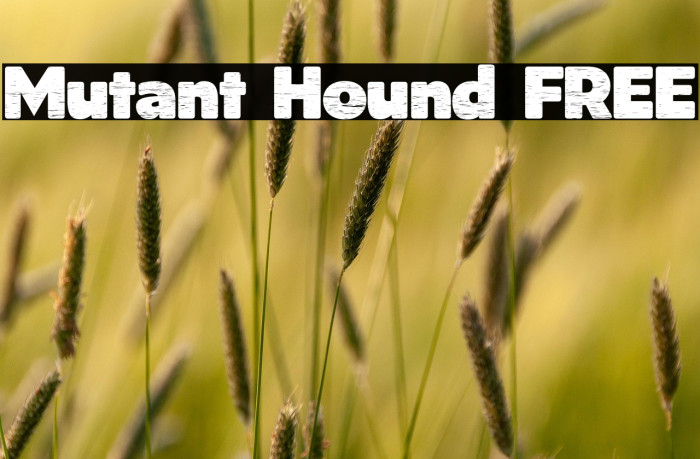 Mutant Hound FREE Example 2