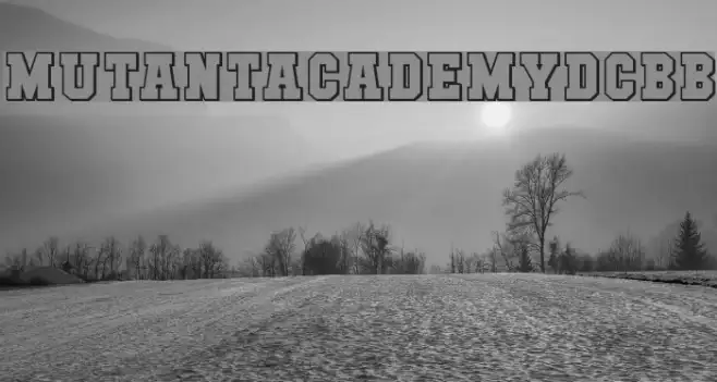 MutantAcademyDCBB Example 2