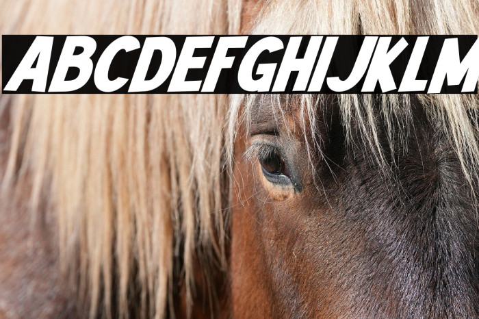 Mutchin Italic Example 3