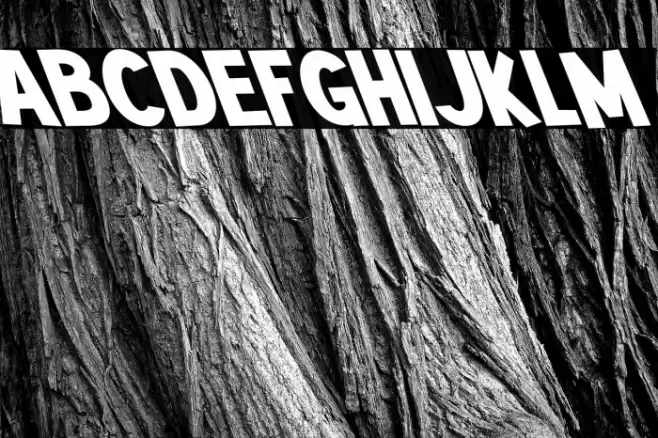 Mutchin Oblique Font examples