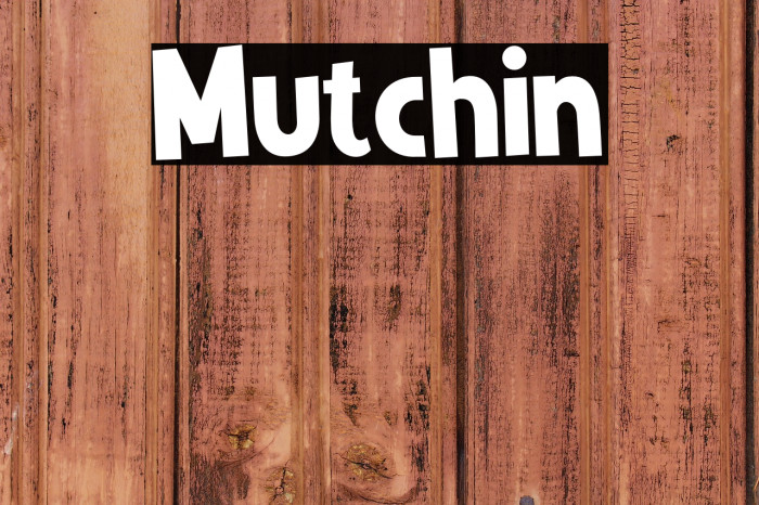 Mutchin Example 1