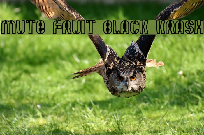 Mute Fruit Black Krash Font examples