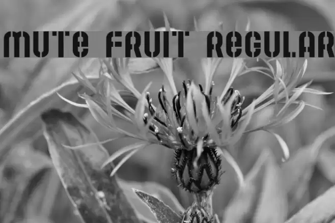 Mute Fruit Regular Font examples
