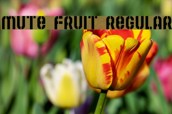Mute Fruit Regular Font examples