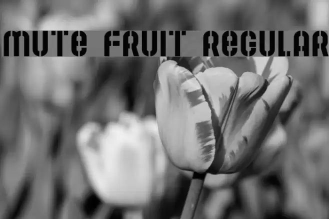Mute Fruit Regular Font examples