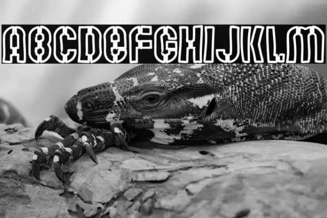 Mute Fruit White Krash Font examples