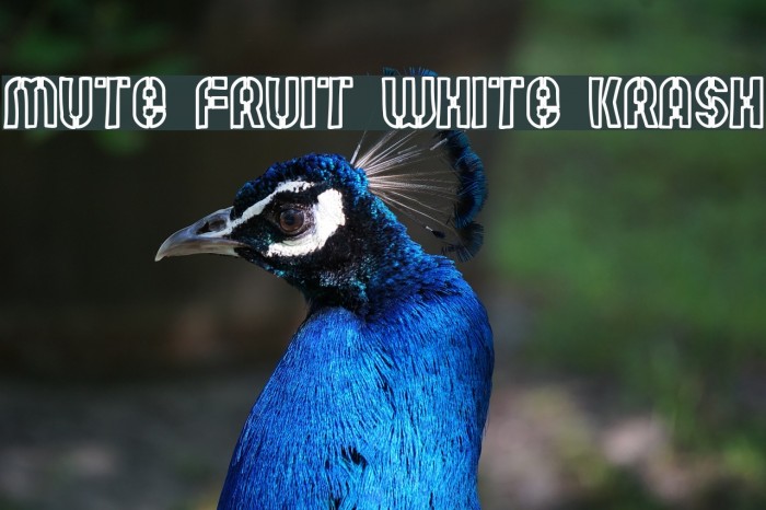Mute Fruit White Krash Font examples