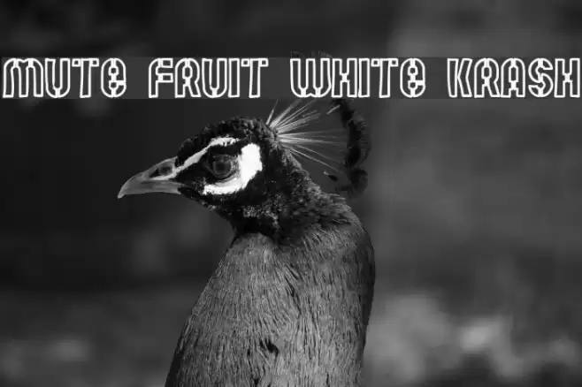 Mute Fruit White Krash Font examples