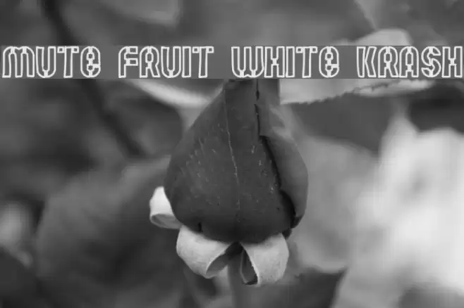 Mute Fruit White Krash Font examples