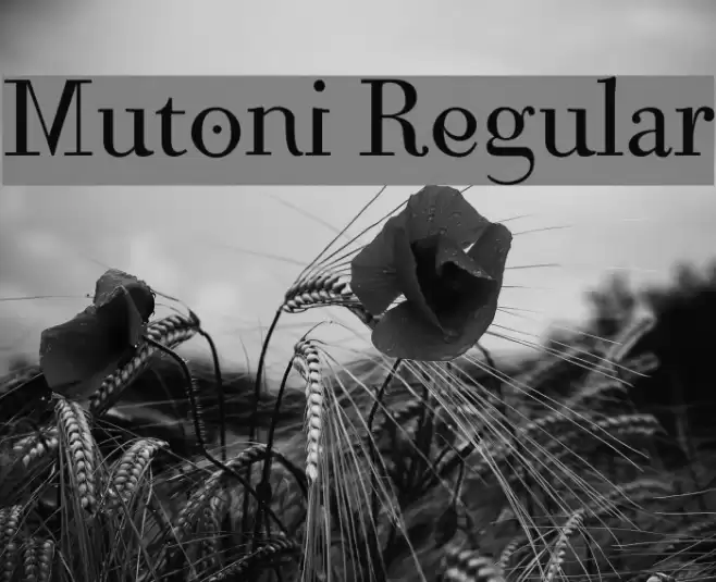 Mutoni Regular Font examples