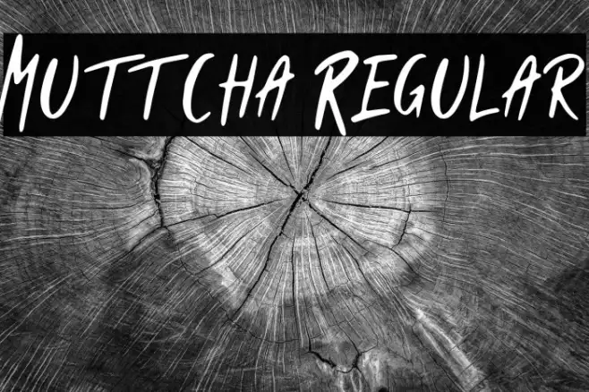 Muttcha Regular Example 1