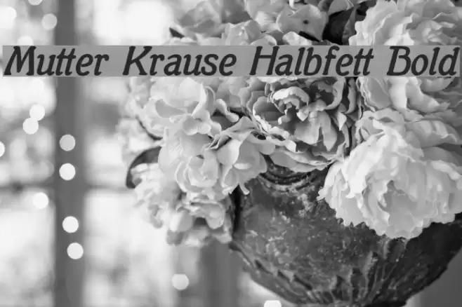 Mutter Krause Halbfett Bold Schriftart examples