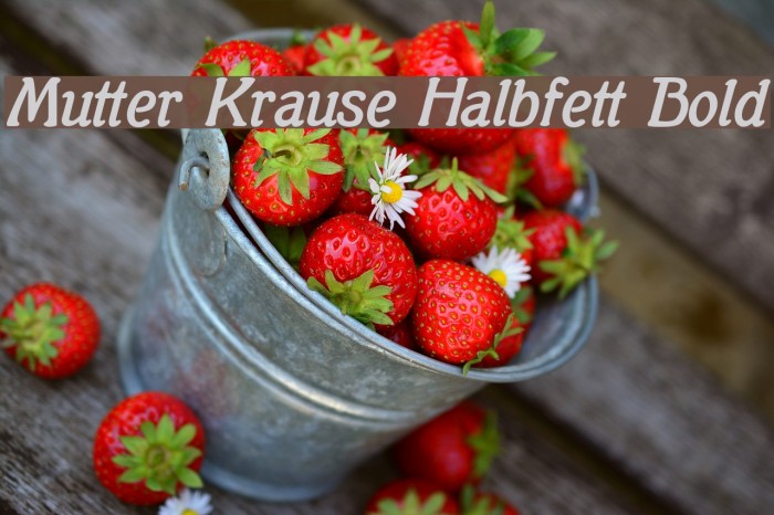 Mutter Krause Halbfett Bold Schriftart examples