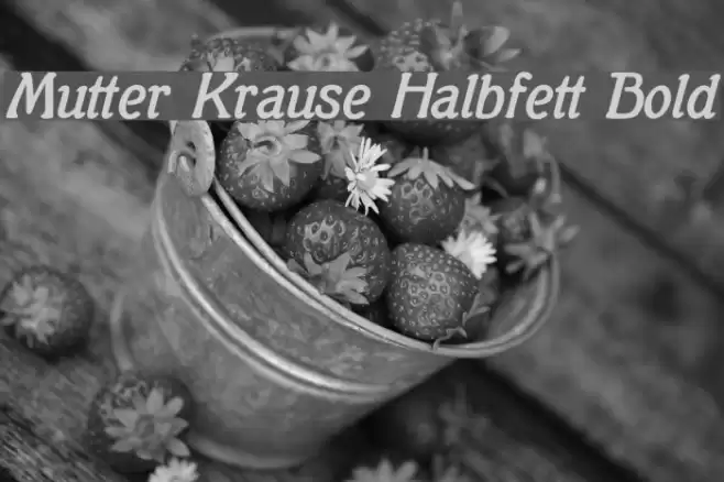 Mutter Krause Halbfett Bold Schriftart examples