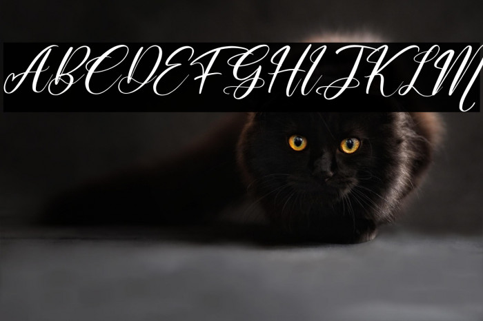 Muttiara Pagi Italic Example 2