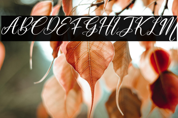 Muttiara Pagi Italic Example 3