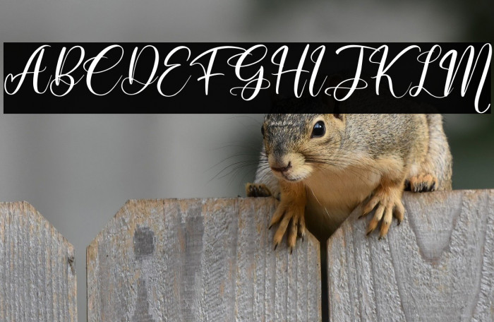 Muttiara Pagi Example 1