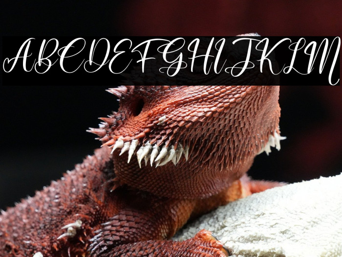 Muttiara Pagi Example 2