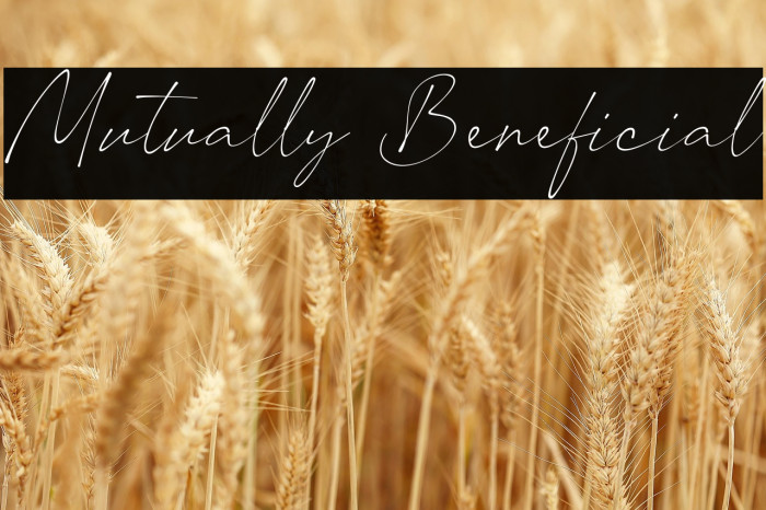 Mutually Beneficial Example 3