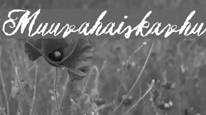 Muurahaiskarhu Font examples