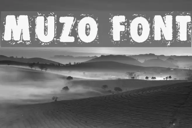 Muzo Example 2