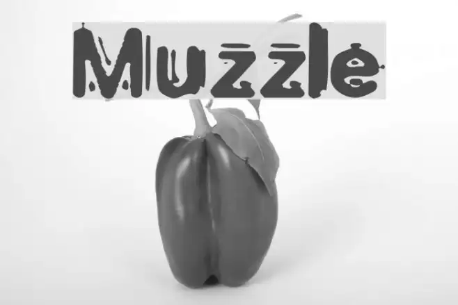 Muzzle Example 1