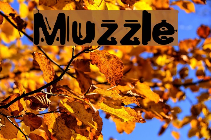 Muzzle Font examples