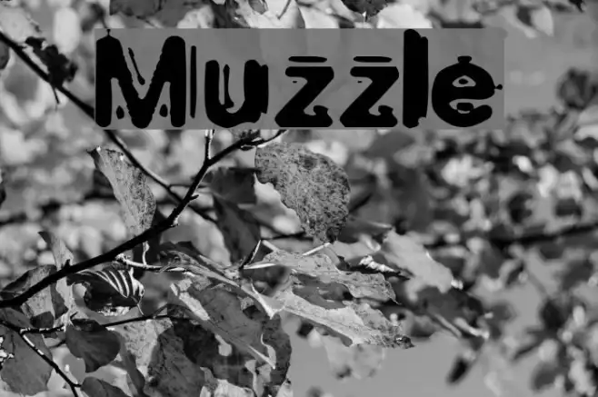 Muzzle Example 2