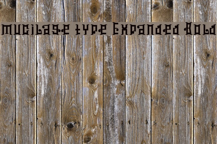 mucilage type Expanded Bold Font examples