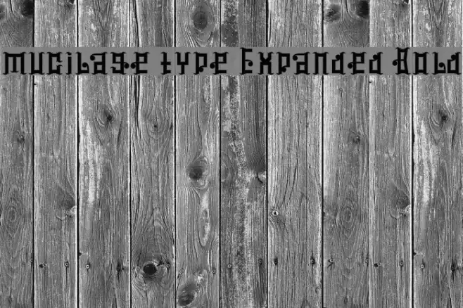 mucilage type Expanded Bold Example 2