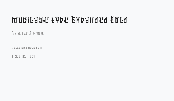 mucilage type Expanded Bold Business Card