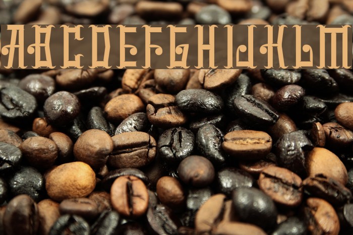 mucilagetype-ExpandedBold Font examples
