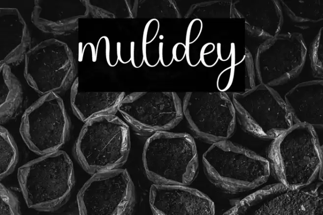 mulidey Font examples
