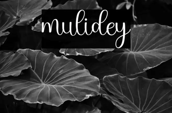 mulidey Font examples