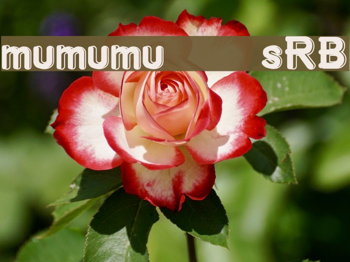 mumumu [sRB] Example 1