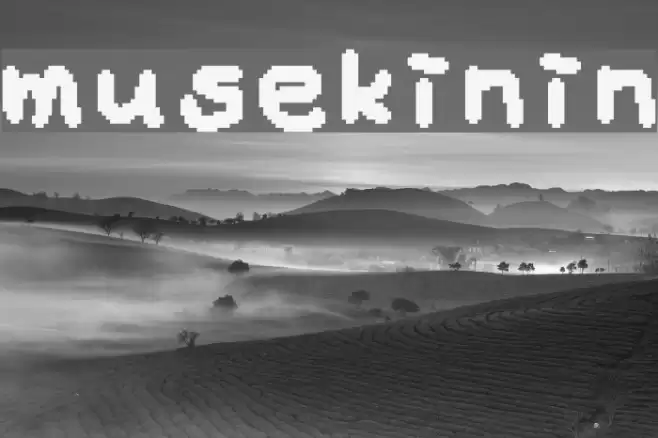 musekinin Font examples