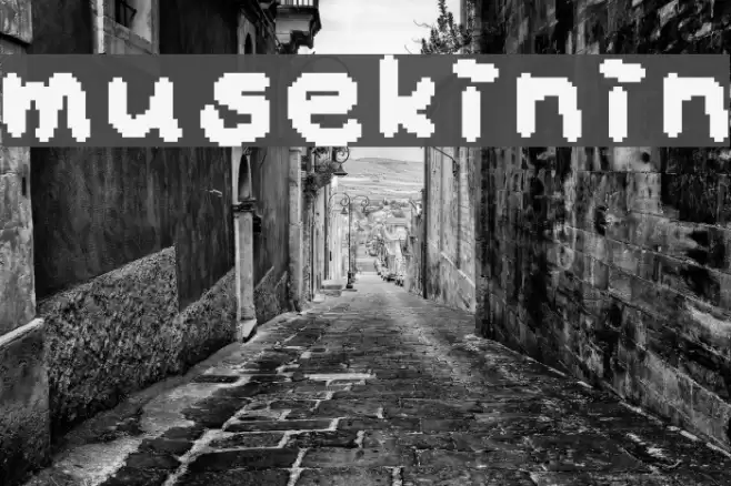 musekinin Font examples